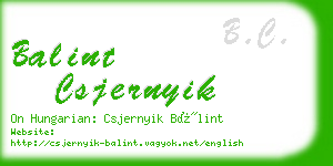 balint csjernyik business card